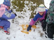 Výprava do zimního lesa